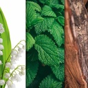 CANDLE BROTHERS BLACK VELVET SCENTED CANDLE 510g