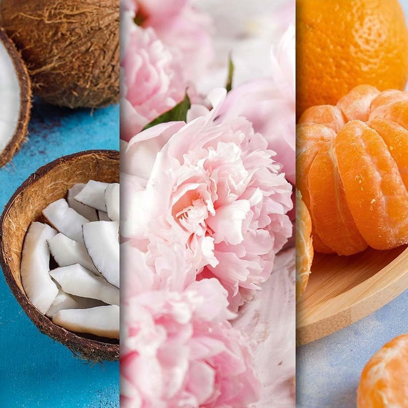 CANDLE BROTHERS COCONUT DREAMS SCENTED CANDLE 510g