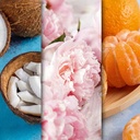 CANDLE BROTHERS COCONUT DREAMS SCENTED CANDLE 510g