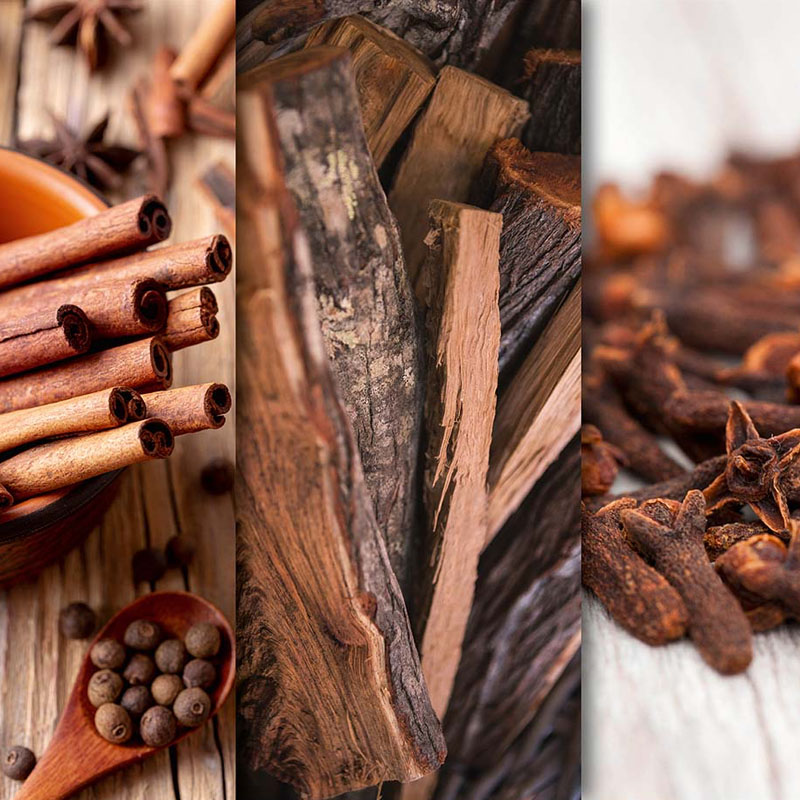 CANDLE BROTHERS SUGAR & SPICE SCENTED CANDLE 510g