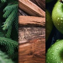 CANDLE BROTHERS PINE FOREST SCENTED CANDLE 510g