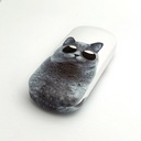 GLASSES CASE CAT #2