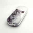 GLASSES CASE CAT #4
