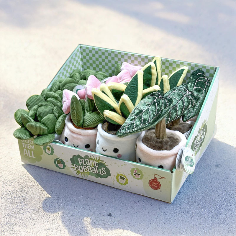 KEELECO PLANTS 4-ASS 12CM COUNTER DISPLAY 12pcs