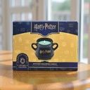HARRY POTTER CANDLE MUG WITCHES CAULDRON