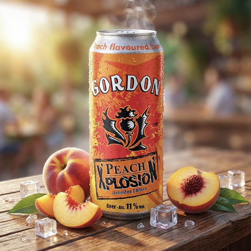 GORDON PEACH XPLOSION CAN 12X50cl