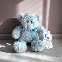 TEDDY BEAR LARRY BLUE 25CM
