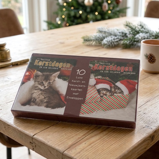 [86000000] WENSKAARTEN KERSTMIS TRADITIONAL 10pcs