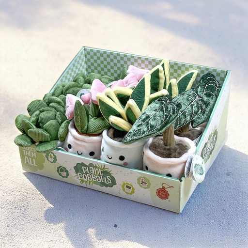 [00020542] KEELECO PLANTS 4-ASS 12CM COUNTER DISPLAY 12pcs